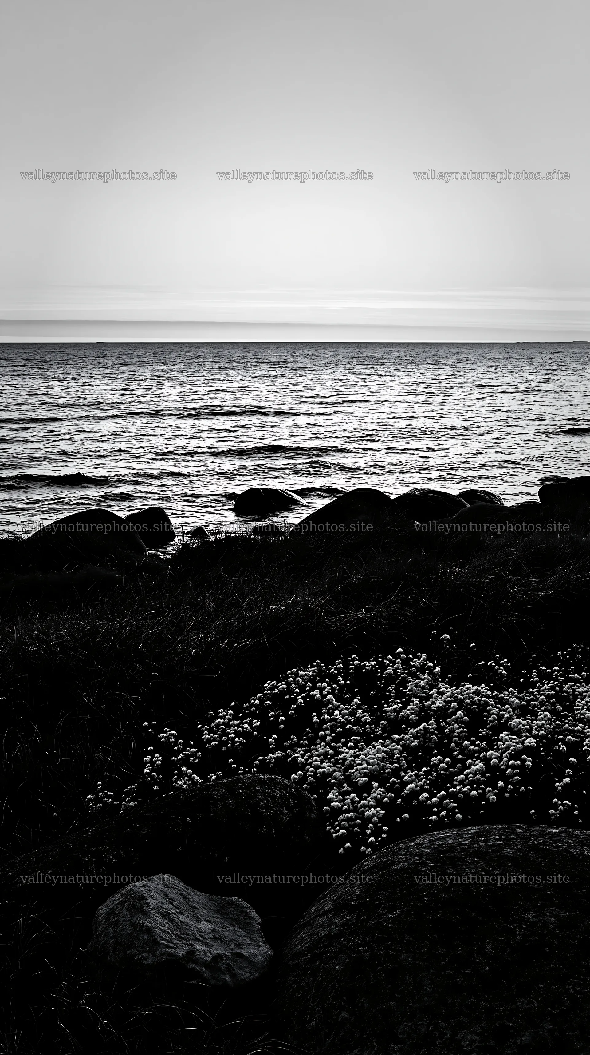 Meadow with boulders and ocean view at dusk – nature photography 5938x10608