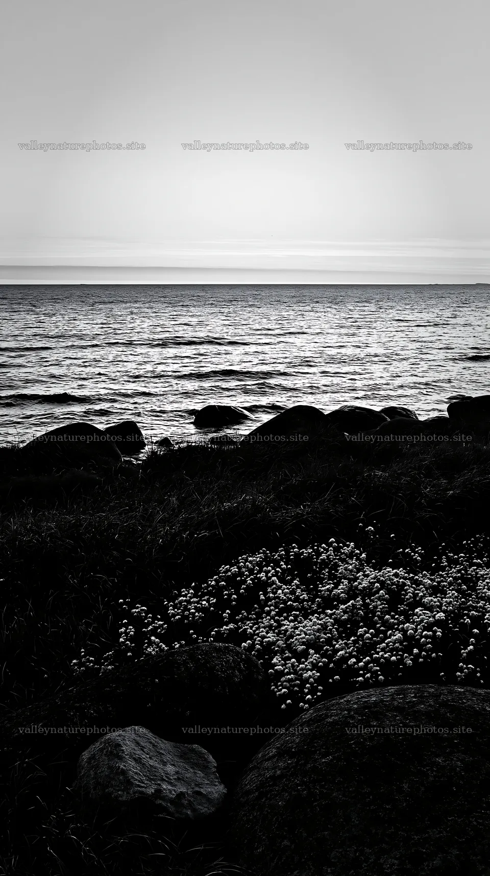 Meadow with boulders and ocean view at dusk – nature photography 5938x10608