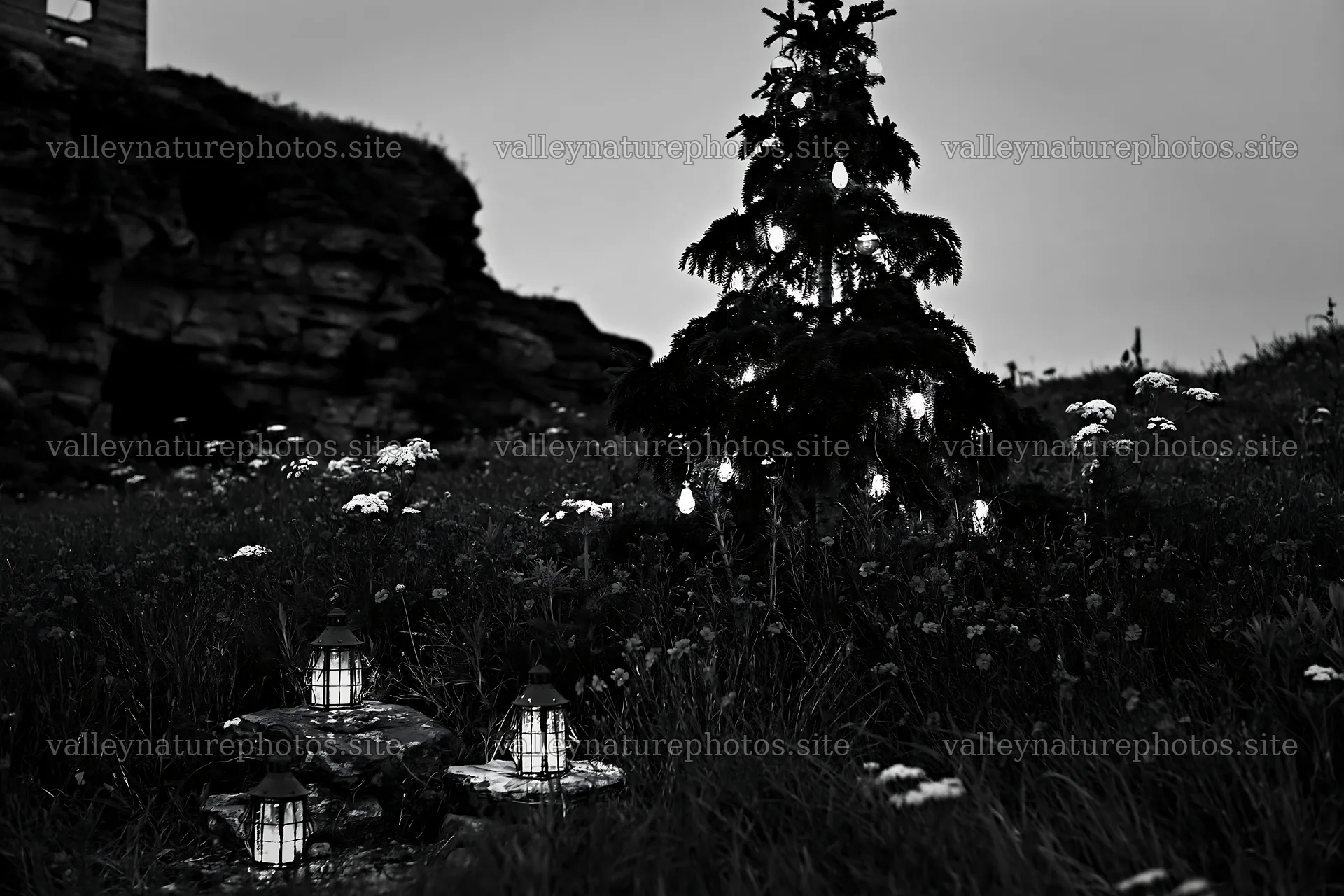 Christmas tree with ornaments in meadow near cave – nature photography 9722x6480