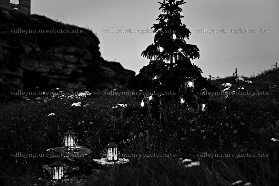Christmas tree with ornaments in meadow near cave – nature photography 9722x6480