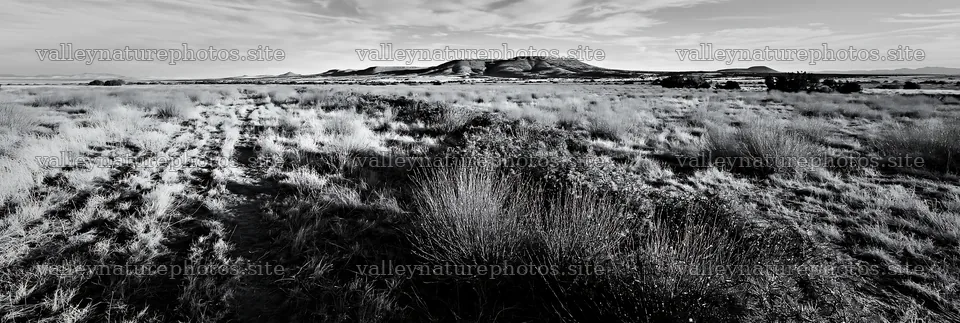 Expansive meadow with dry grass and distant hills in winter – nature photography 13690x4602