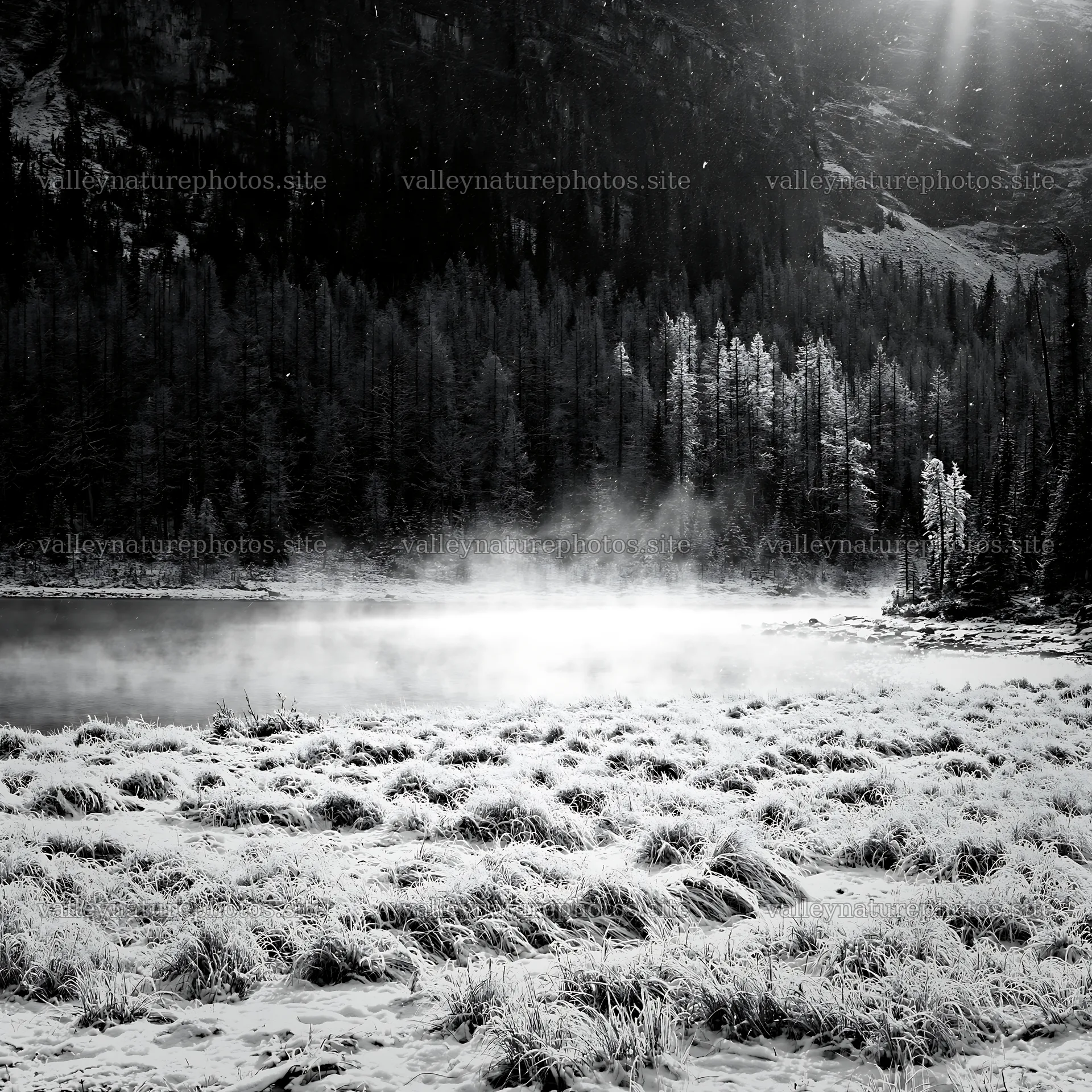 Snowy lakeside meadow with mist rising from the water – nature photography 7938x7938