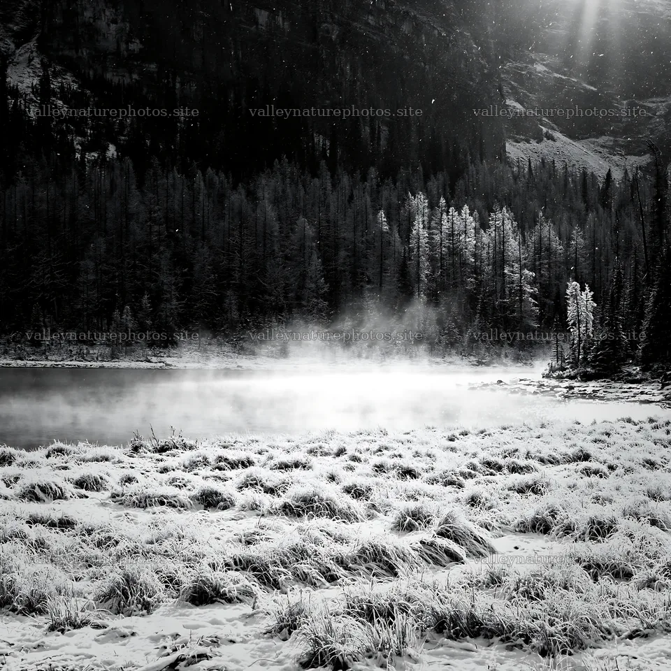 Snowy lakeside meadow with mist rising from the water – nature photography 7938x7938