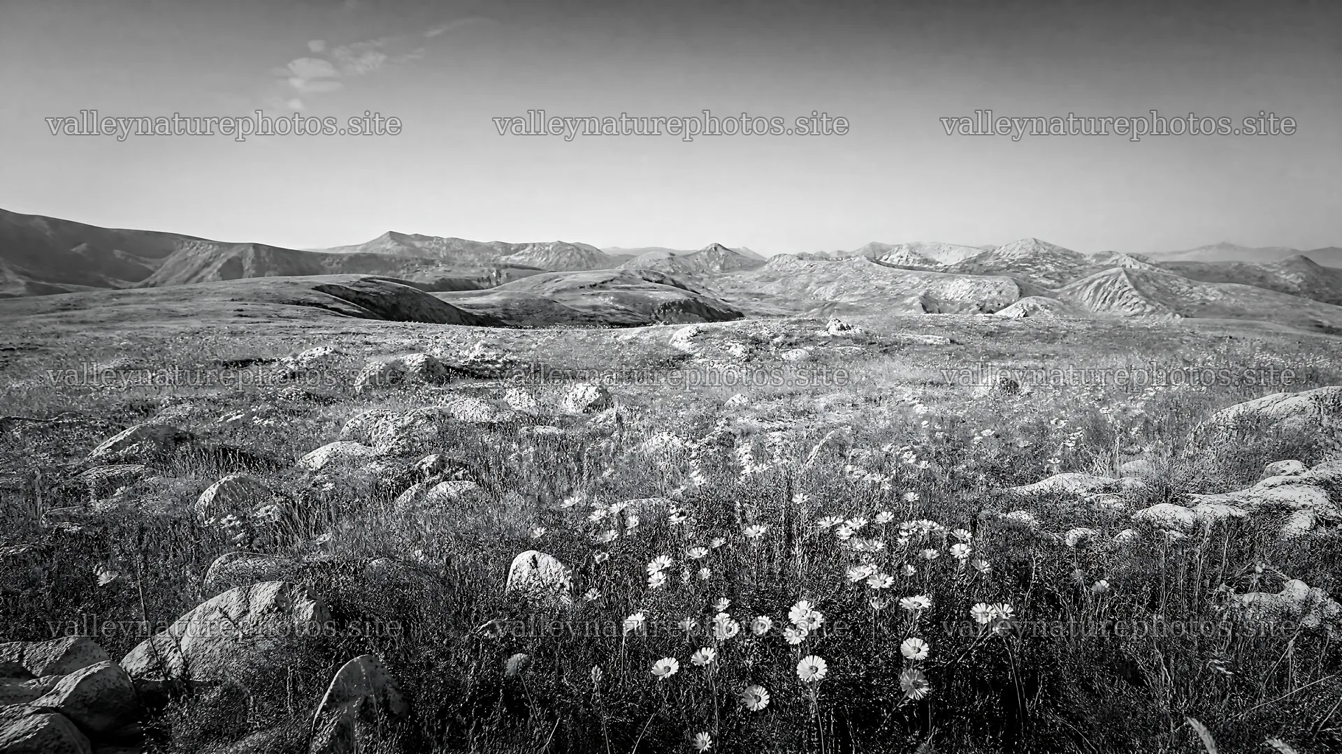 Sunny limestone meadow with distant mountains – nature photography 10584x5952
