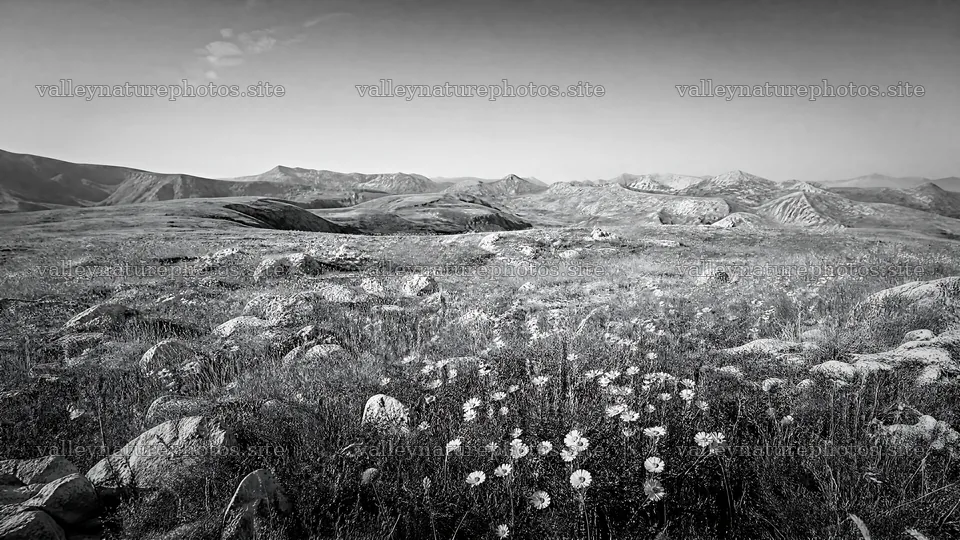 Sunny limestone meadow with distant mountains – nature photography 10584x5952