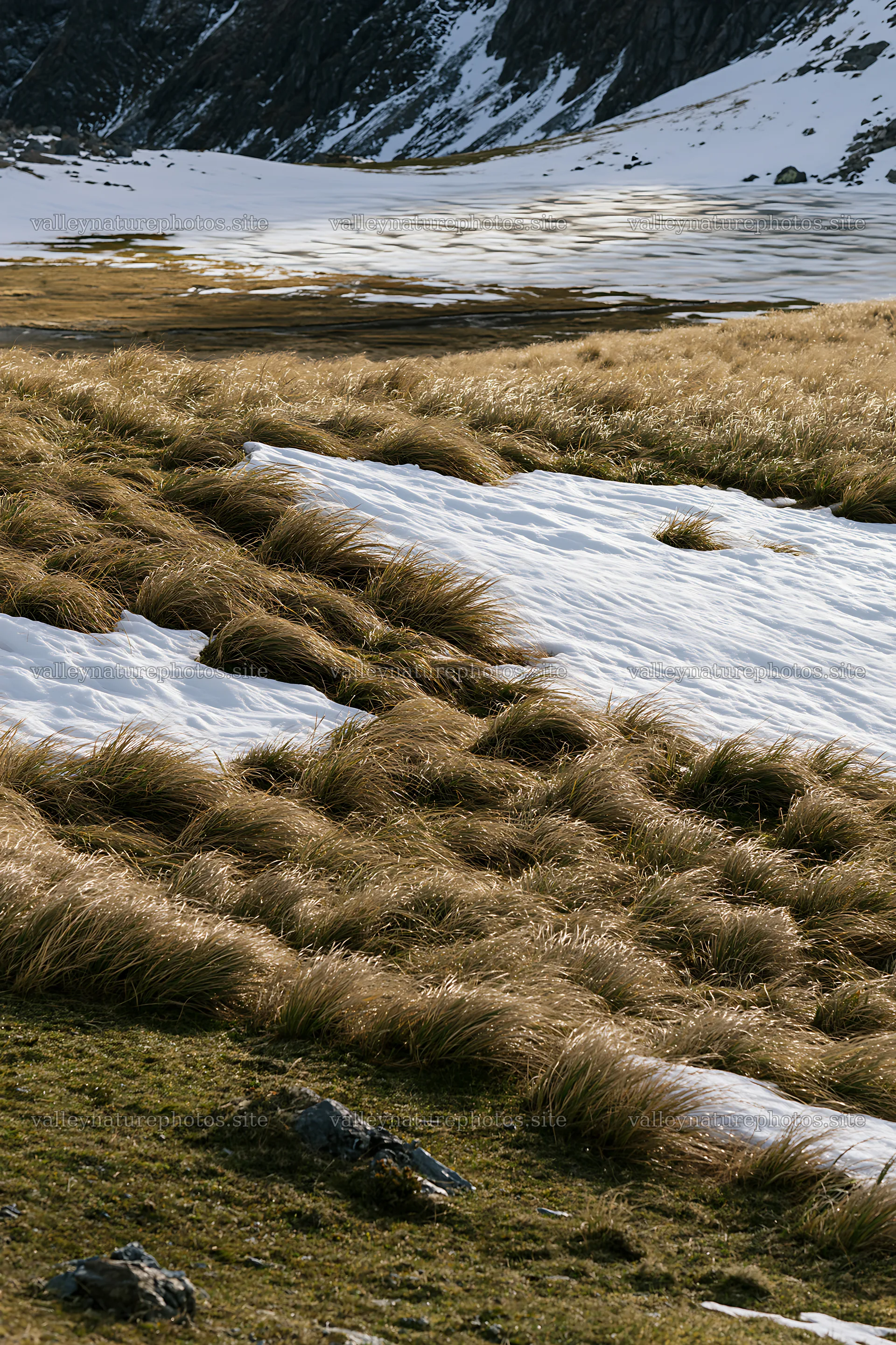 Frozen tarn meadow under snow and grass – nature photography 6480x9722