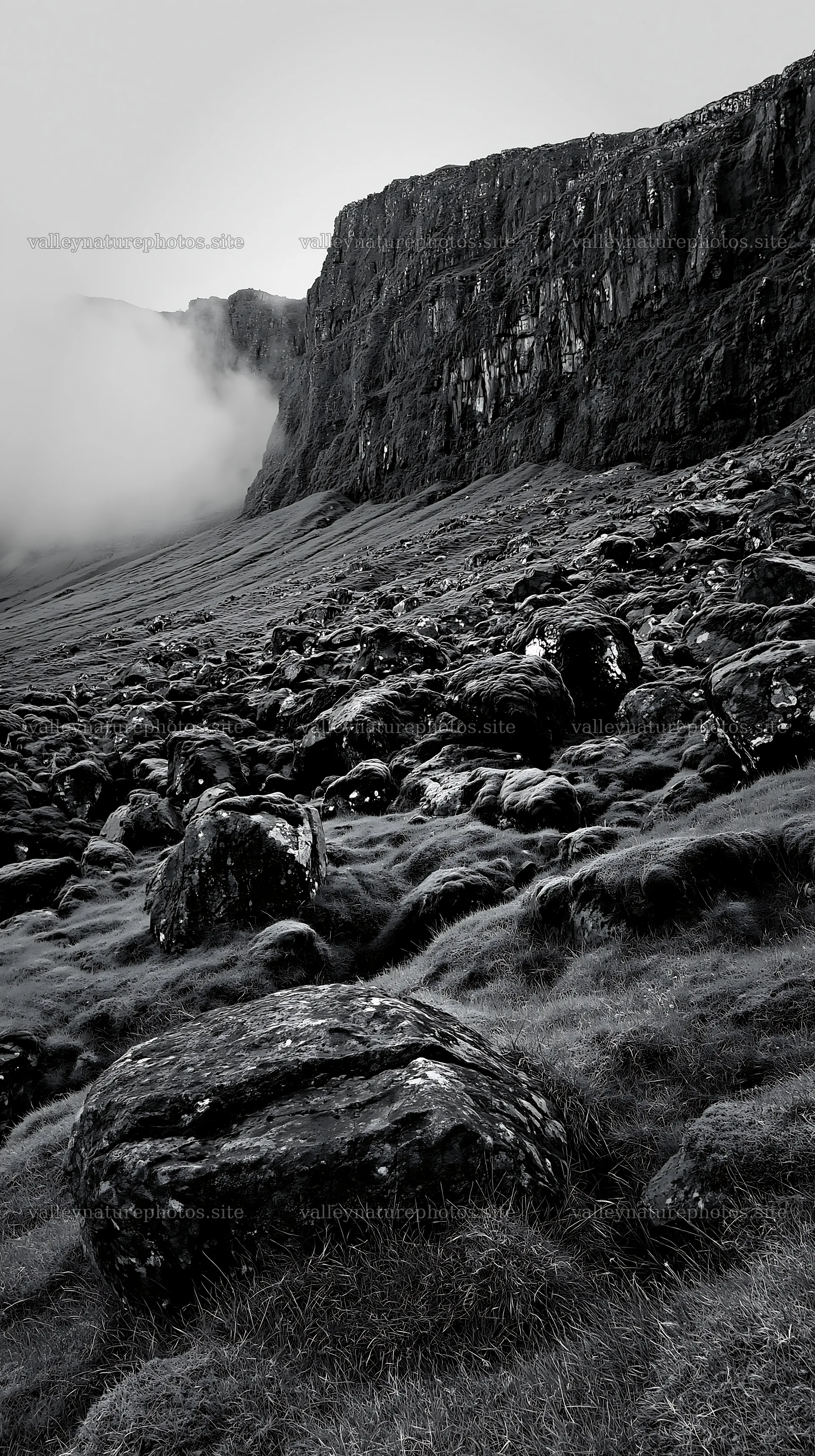 Mossy boulder meadow with rocky cliff and fog – nature photography 5938x10608