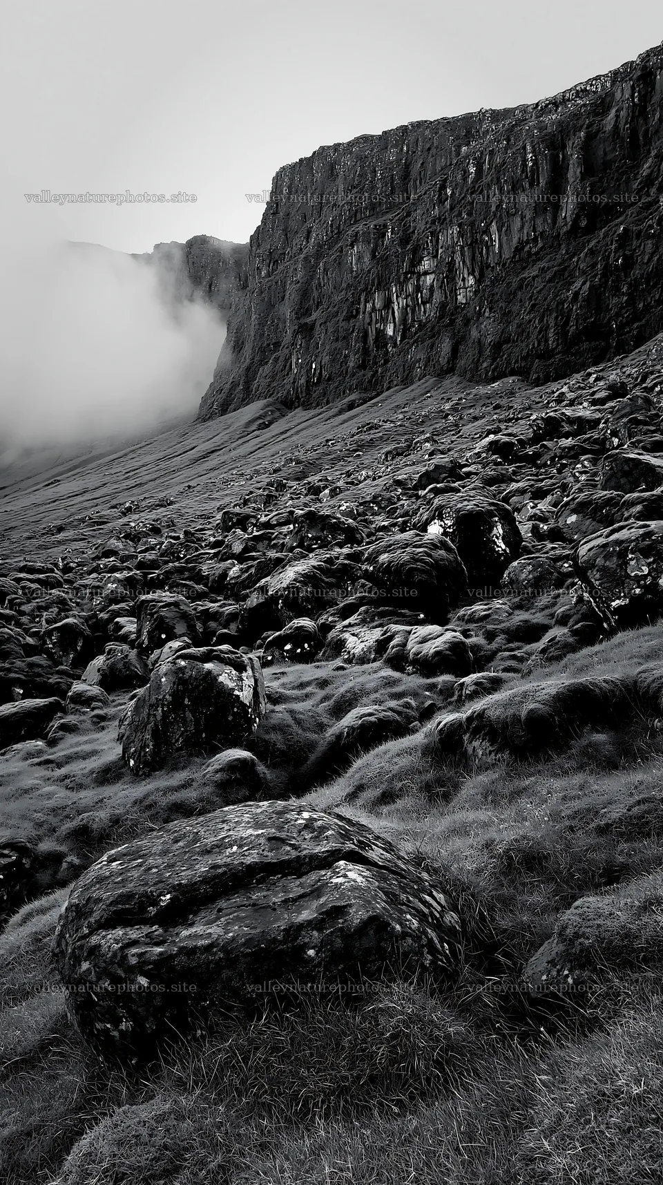 Mossy boulder meadow with rocky cliff and fog – nature photography 5938x10608