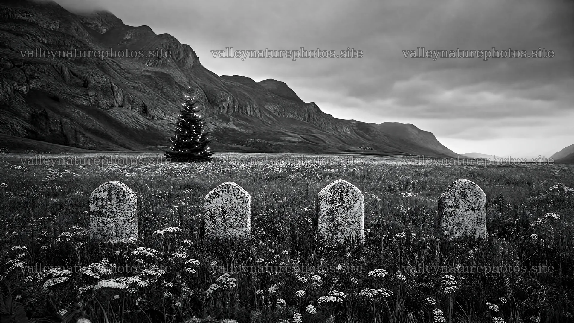 Christmas tree in a mountain valley meadow with gravestones – nature photography 10584x5952