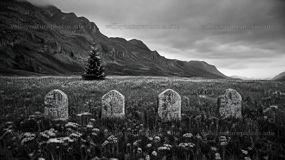 Christmas tree in a mountain valley meadow with gravestones – nature photography 10584x5952