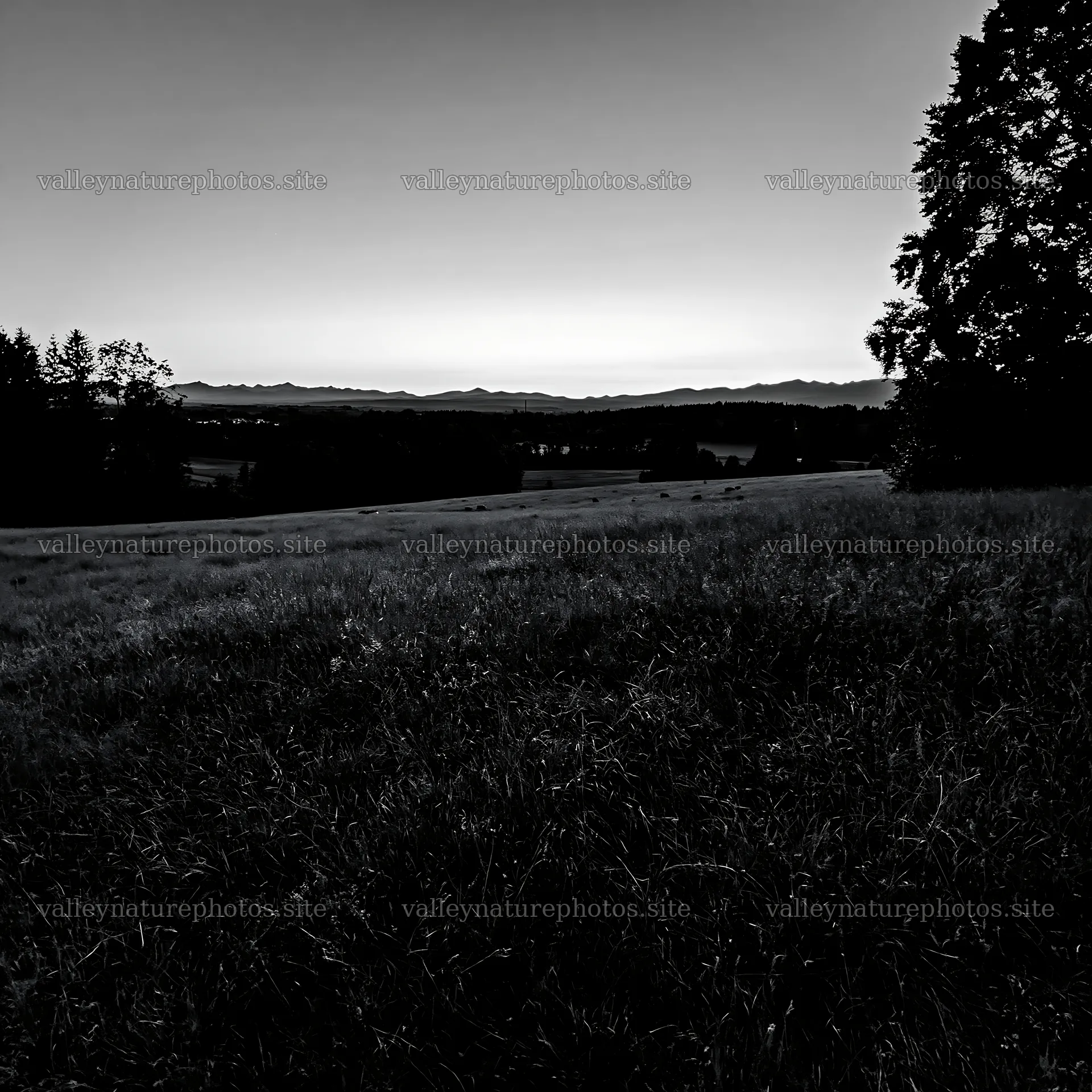 Rolling valley meadows under a dusk sky – nature photography 7938x7938