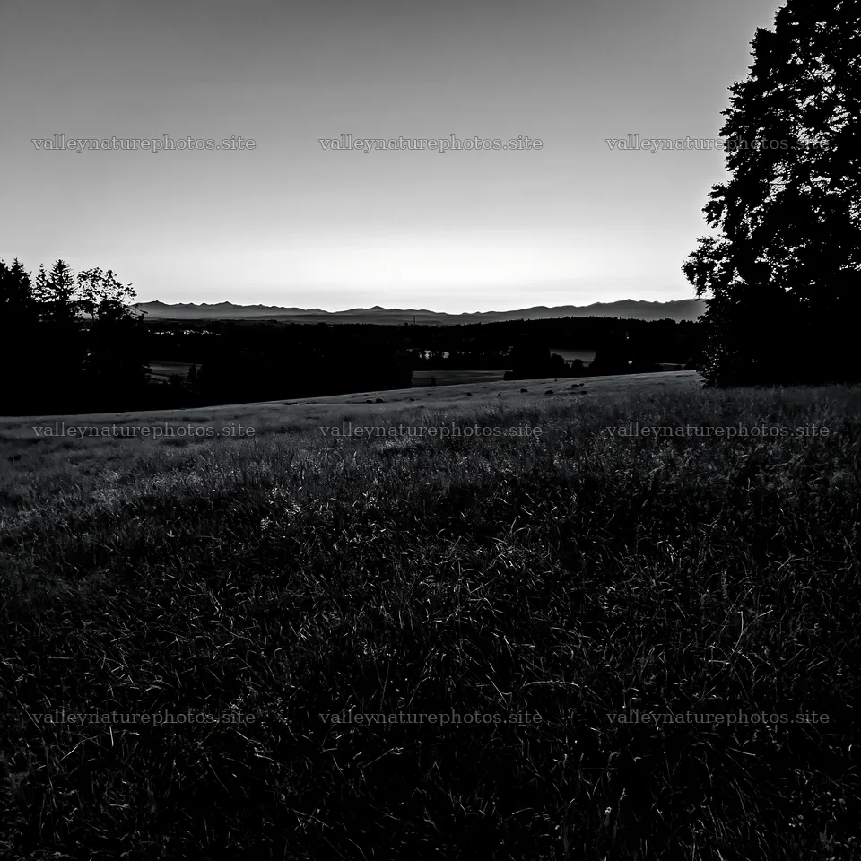 Rolling valley meadows under a dusk sky – nature photography 7938x7938