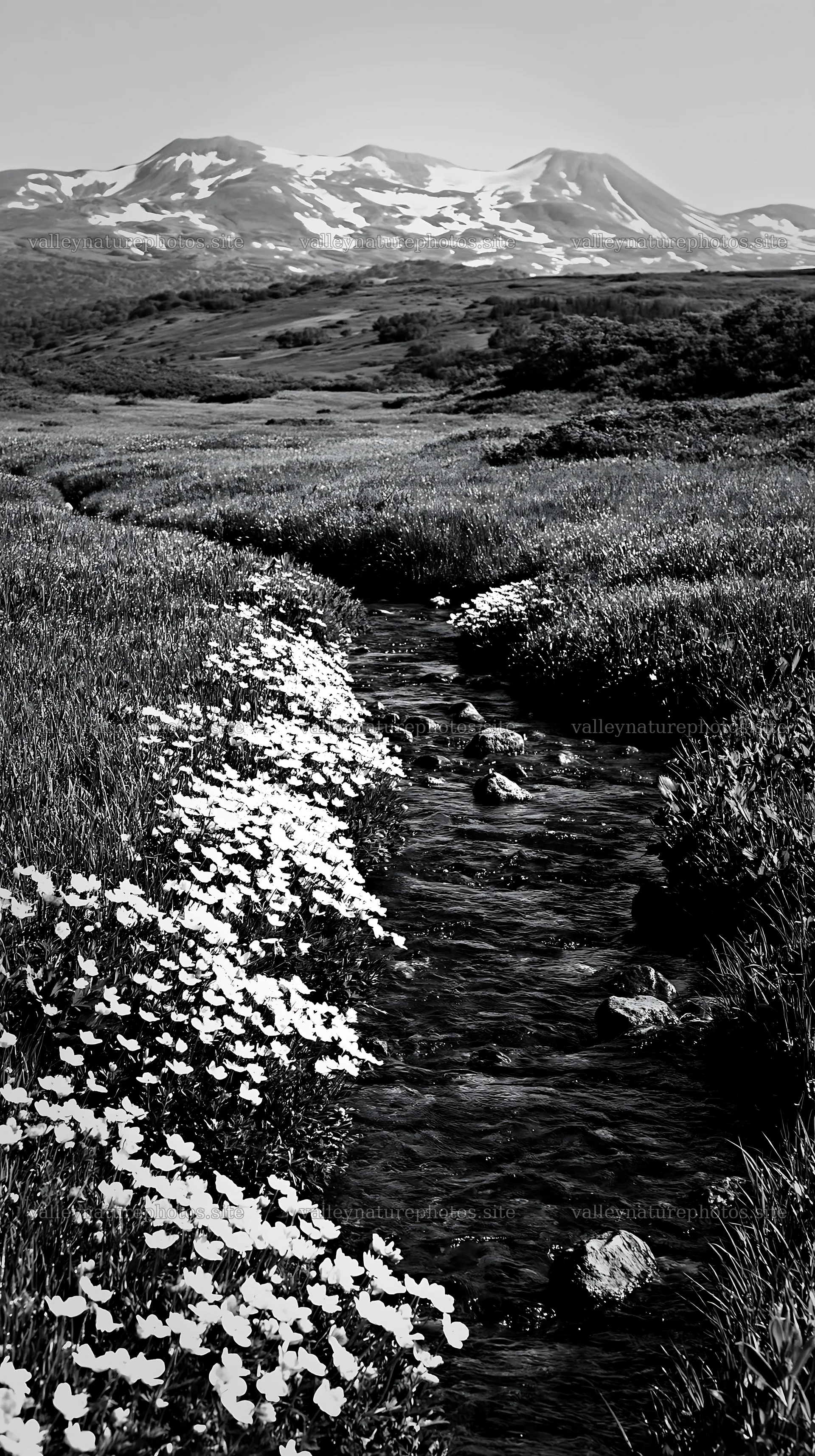 High contrast meadow with watercourse and distant mountains – nature photography 5938x10608