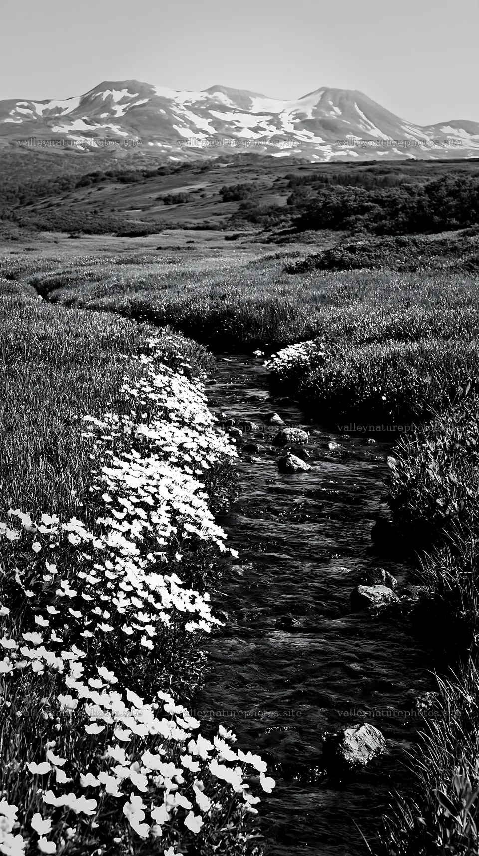 High contrast meadow with watercourse and distant mountains – nature photography 5938x10608