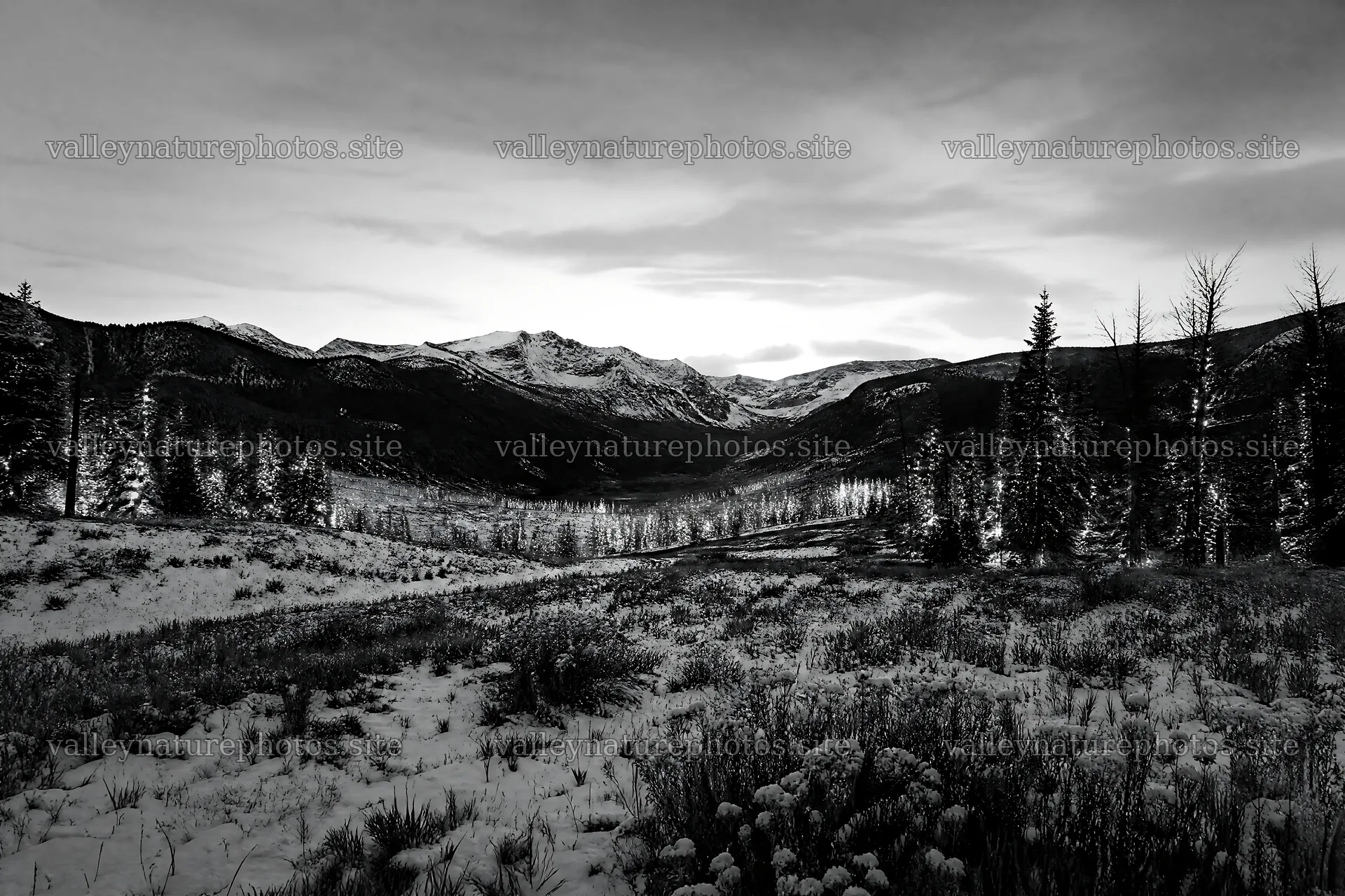 Warm Christmas lights across mountain valley meadow – nature photography 9722x6480