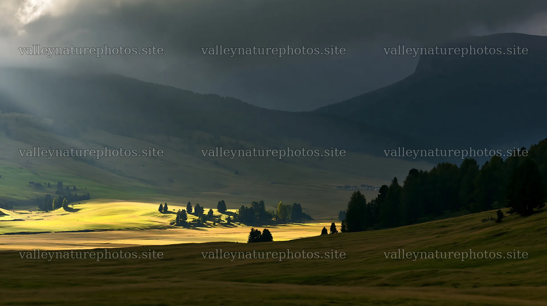 Sunlight shines over Alpe di Siusi meadow in early morning – nature photography 10608x5938