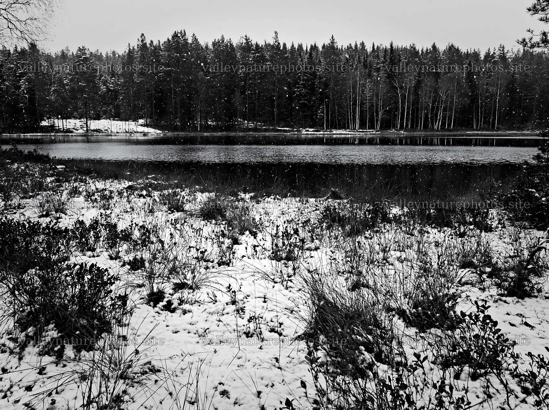 Lakeside meadow after first snowfall in winter scene – nature photography 9174x6866