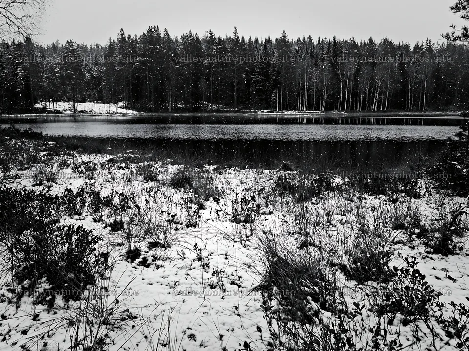Lakeside meadow after first snowfall in winter scene – nature photography 9174x6866