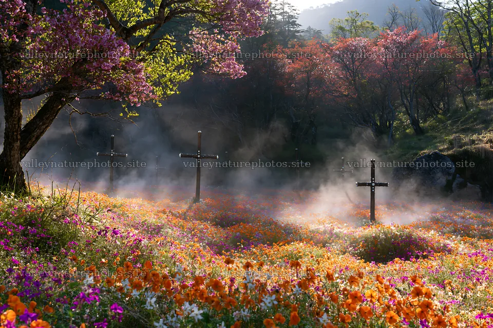 Christian crosses in geothermal spring meadow with flowers – nature photography 9722x6480