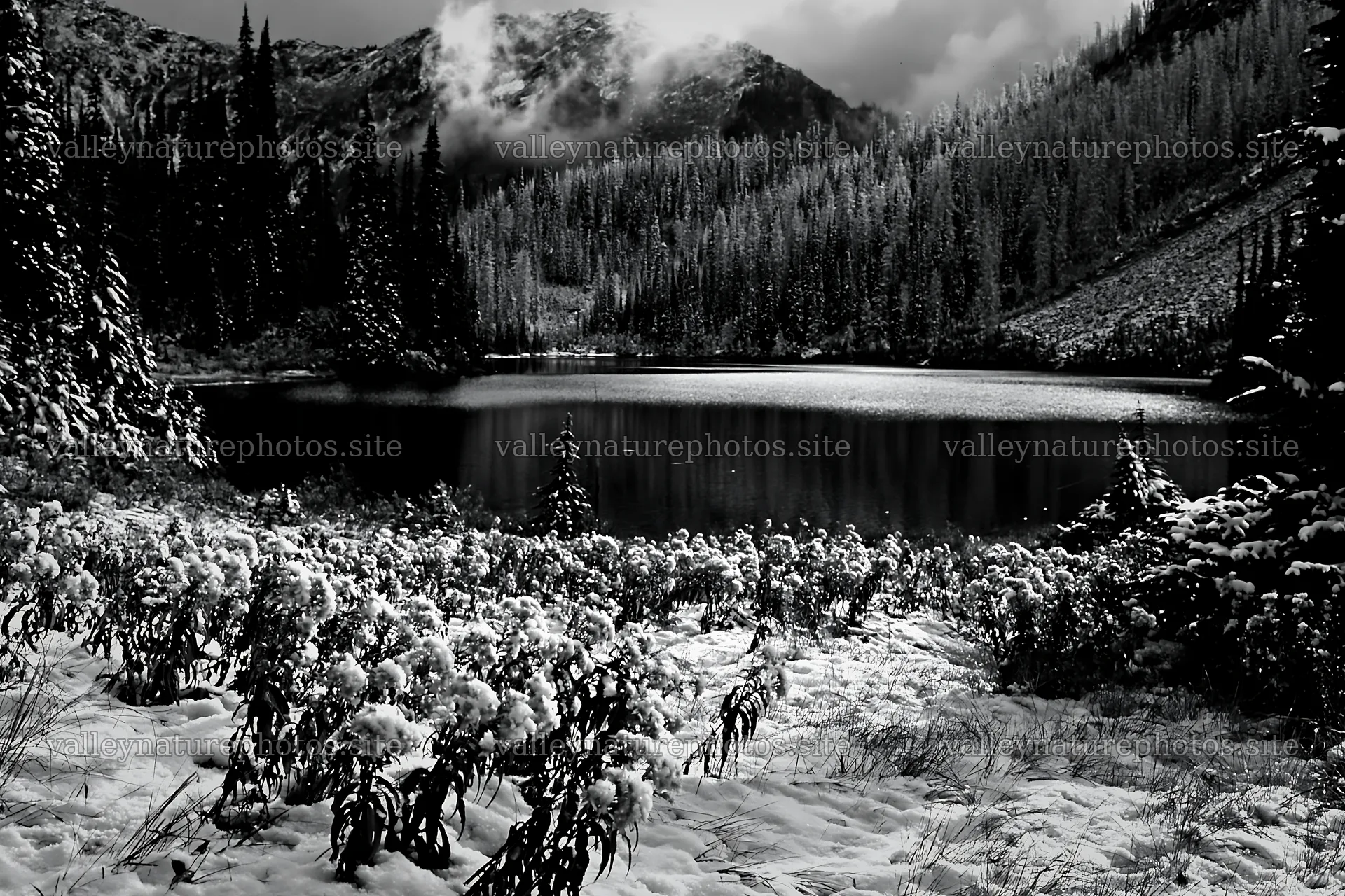Lakeside meadow after first snowfall in black and white – nature photography 9722x6480