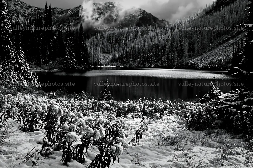 Lakeside meadow after first snowfall in black and white – nature photography 9722x6480