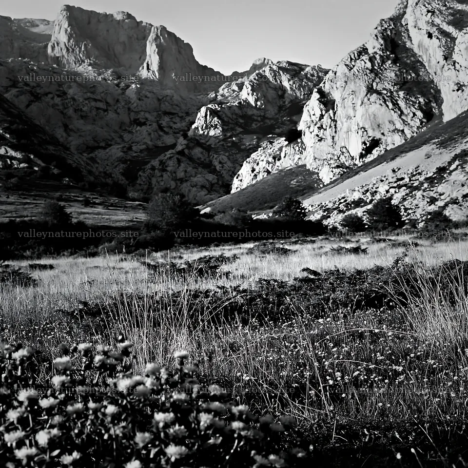 Meadow landscape beneath rocky crags in black and white – nature photography 7938x7938