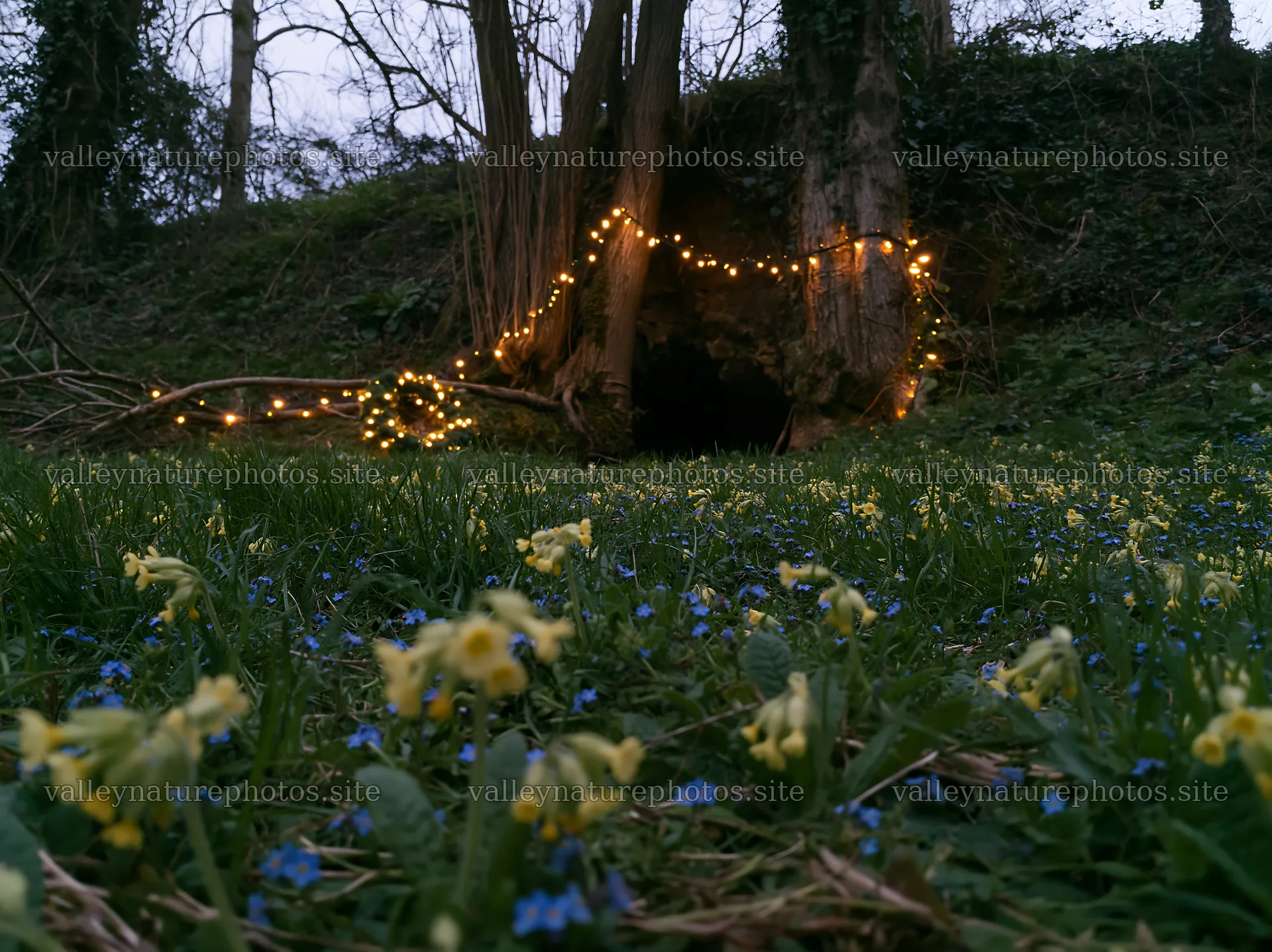 Christmas lights beside cave in meadow with flowers – nature photography 9174x6866