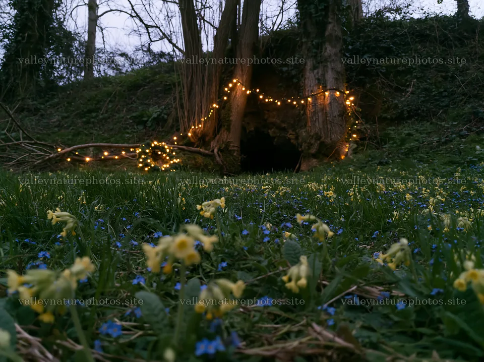 Christmas lights beside cave in meadow with flowers – nature photography 9174x6866