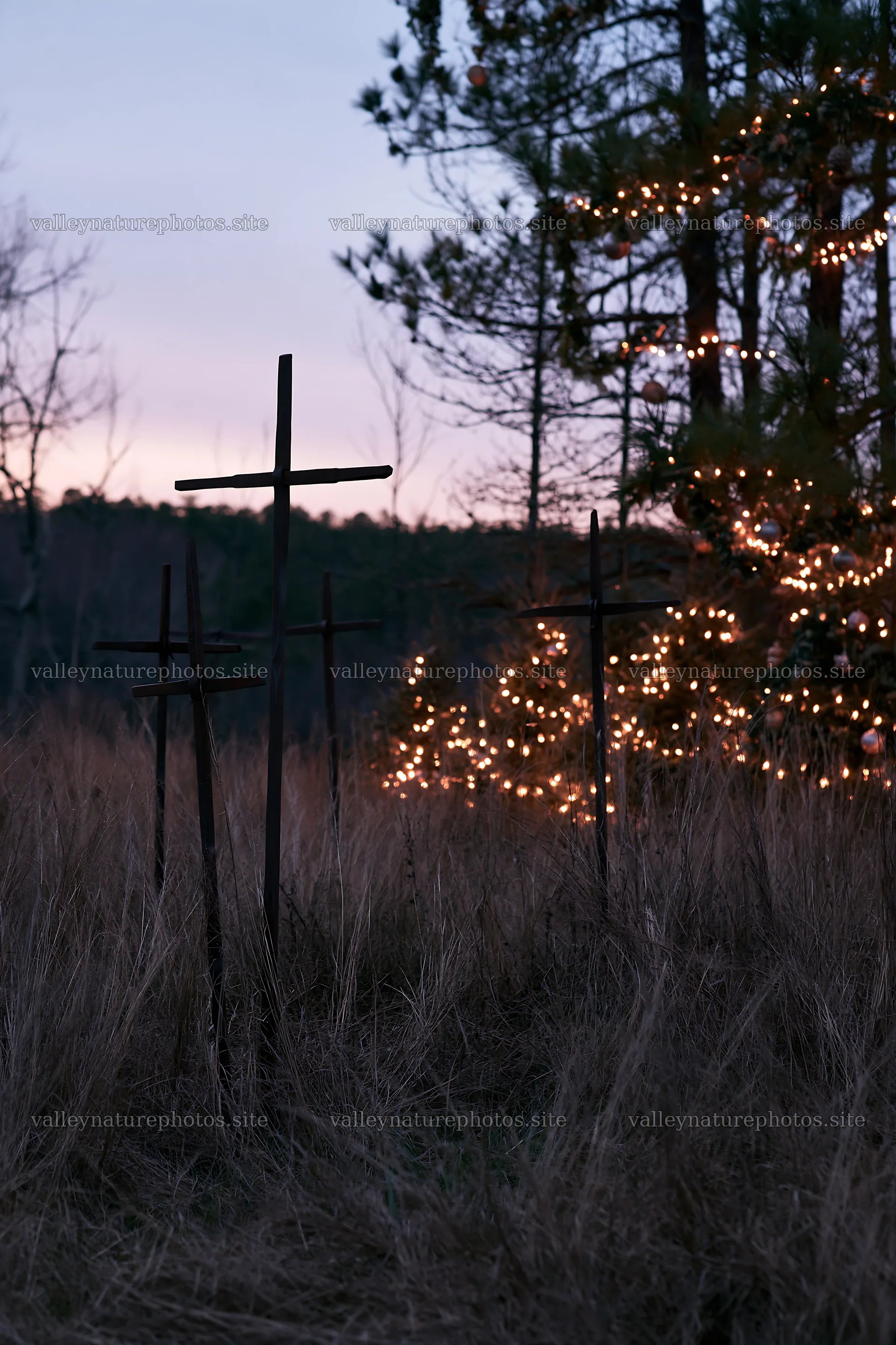 Christian crosses in conservation meadow at dusk – nature photography 6480x9722