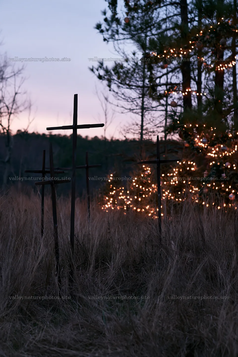 Christian crosses in conservation meadow at dusk – nature photography 6480x9722