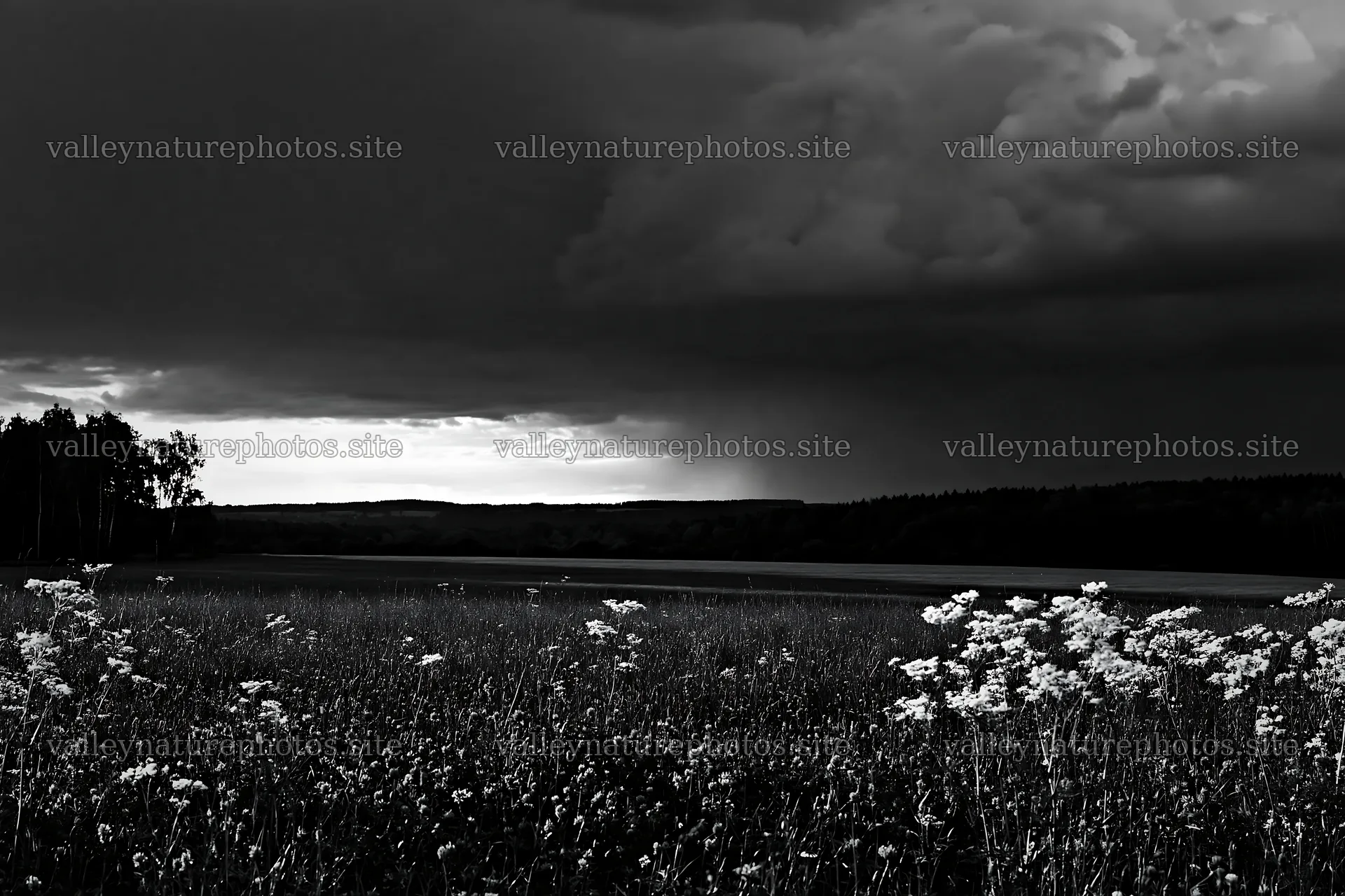 German foothill meadow under dark clouds – nature photography 9722x6480