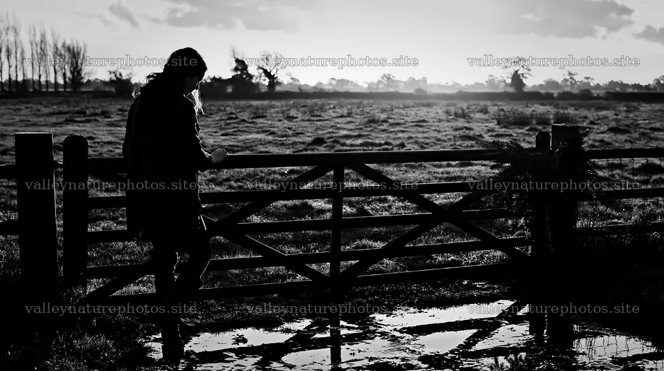 Meadow sunrise with a figure by the gate at dawn – nature photography 10608x5938