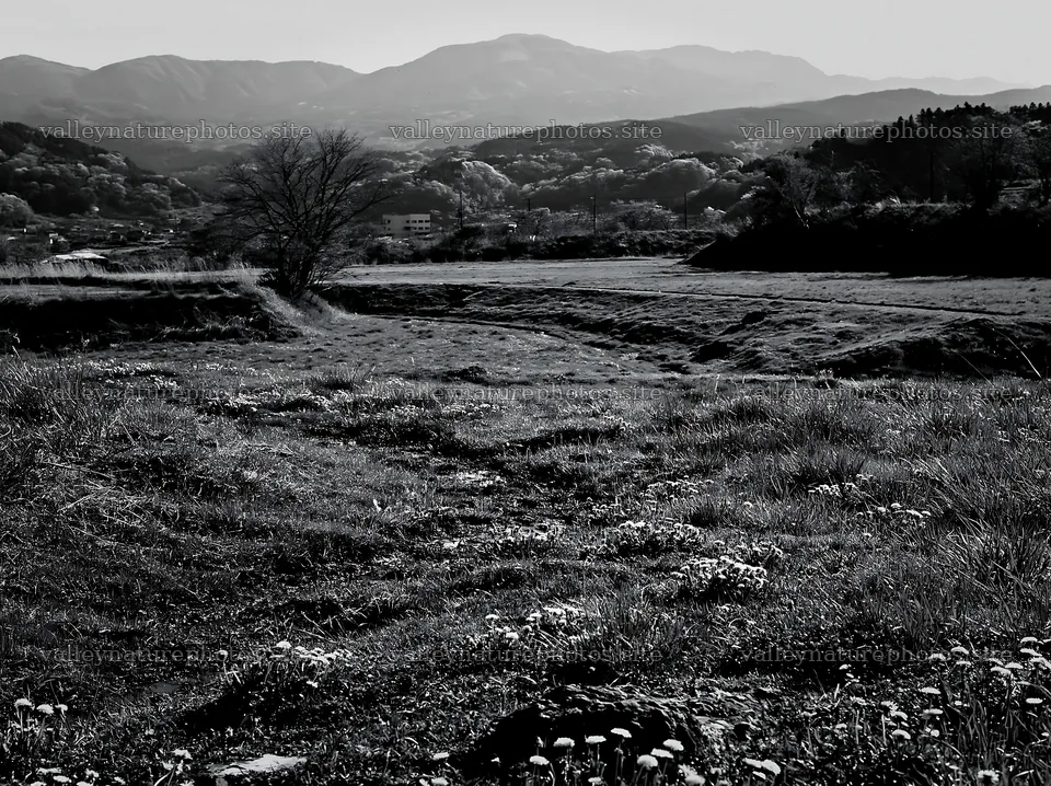 Shizuoka seasonal meadow after heavy rain – nature photography 9174x6866