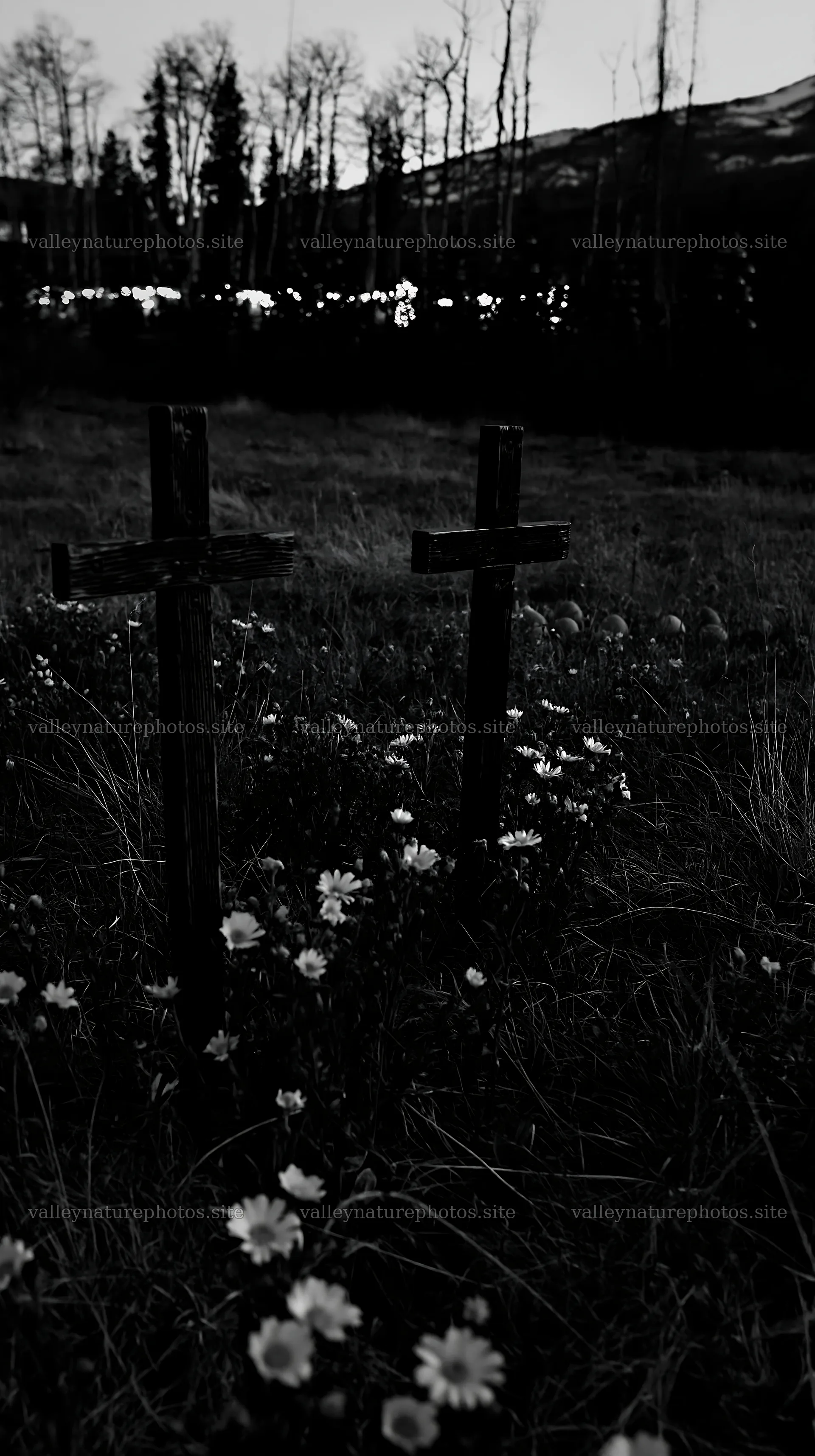Christian crosses in meadow near thermal spring – nature photography 5938x10608