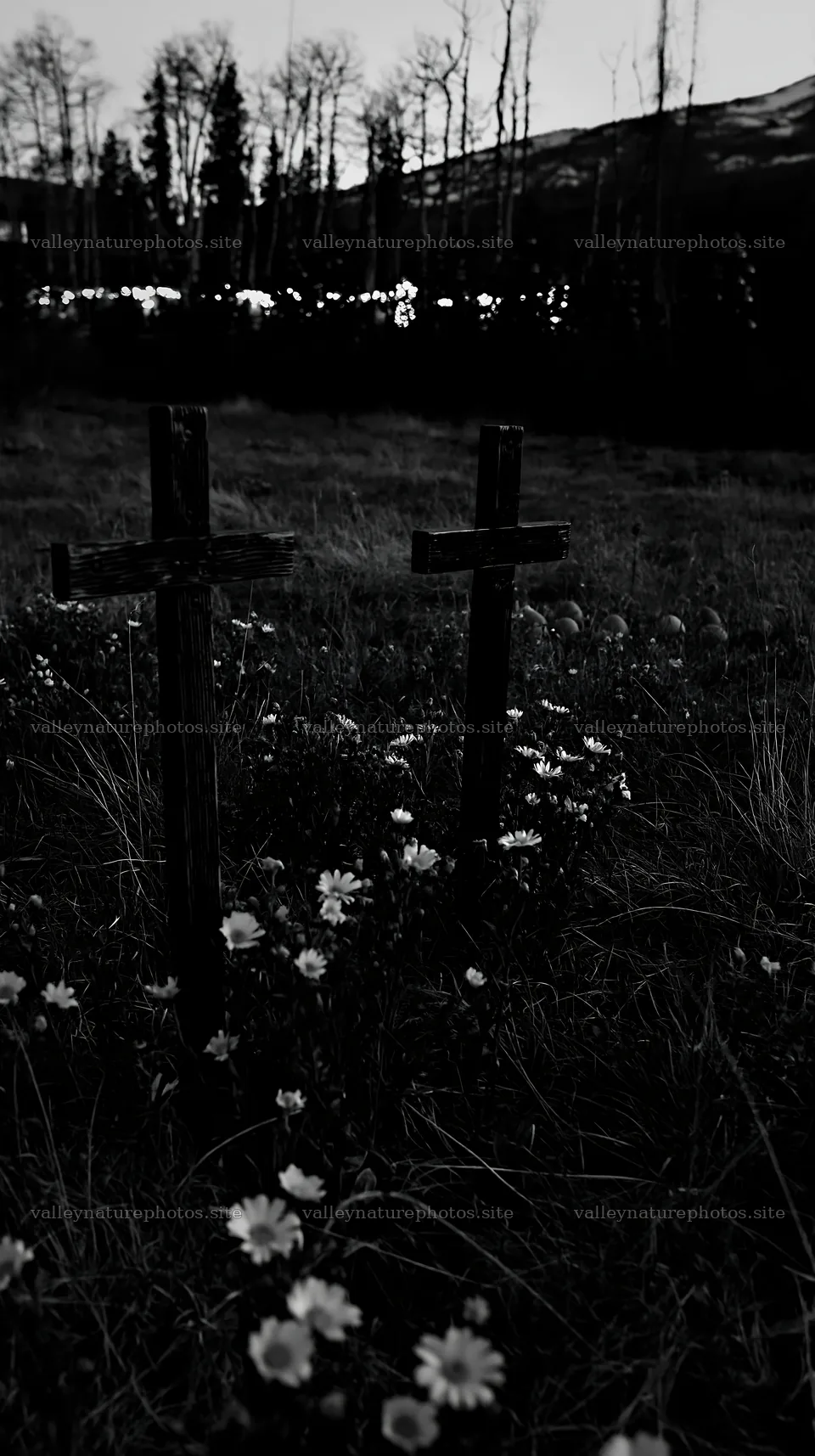 Christian crosses in meadow near thermal spring – nature photography 5938x10608