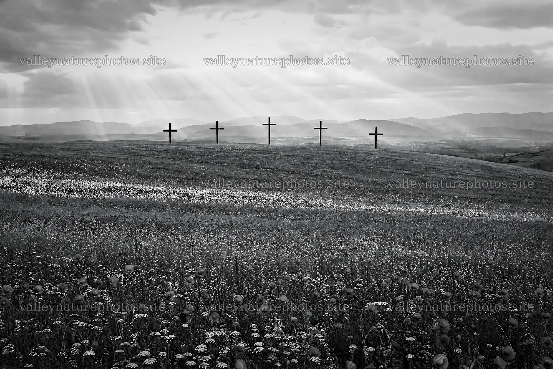 Christian crosses in meadow lit by sun rays – nature photography 9722x6480