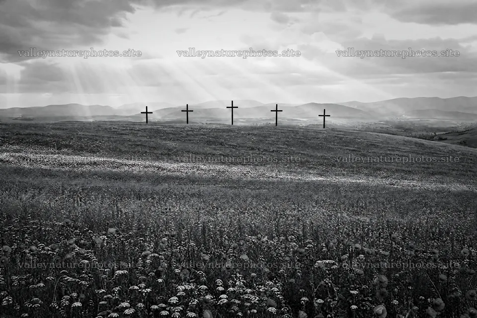 Christian crosses in meadow lit by sun rays – nature photography 9722x6480
