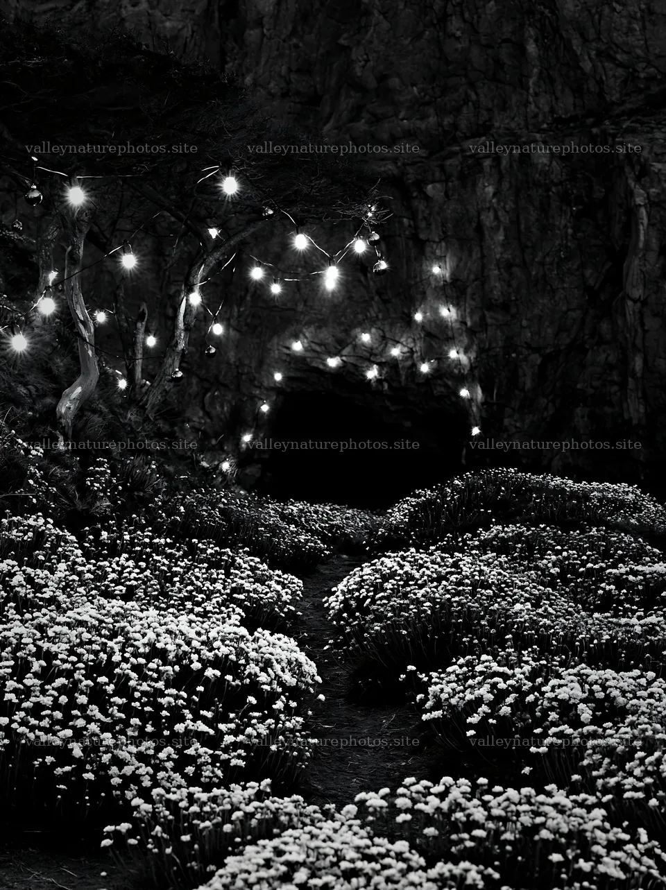 Christmas lights near cave with flowers in meadow – nature photography 6866x9174