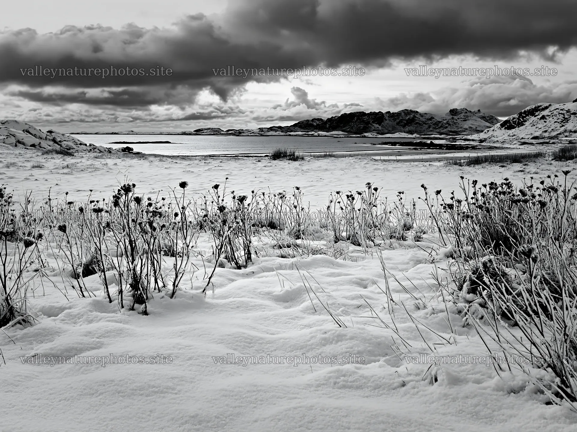 Lofoten coastal meadow winter snow with distant mountains – nature photography 9174x6866