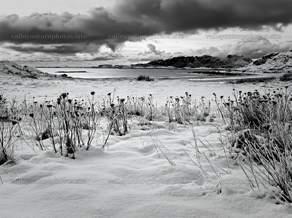Lofoten coastal meadow winter snow with distant mountains – nature photography 9174x6866