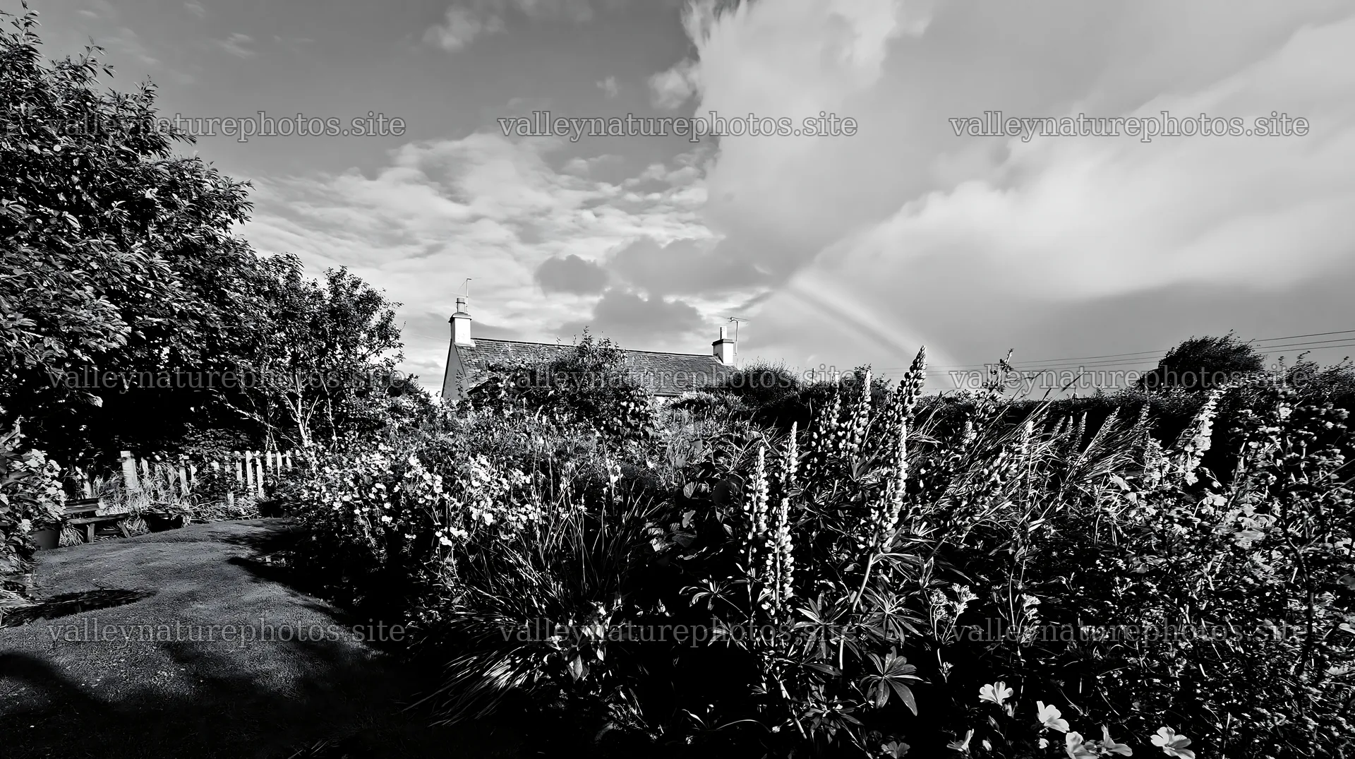 Cottage garden after storm with flowers and rainbow – nature photography 10608x5938