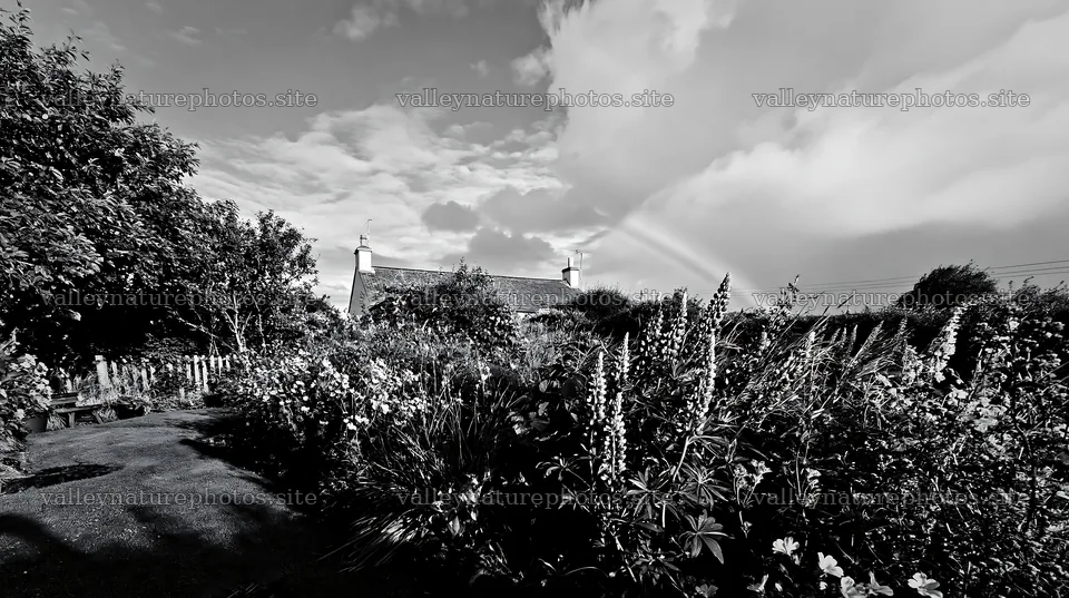 Cottage garden after storm with flowers and rainbow – nature photography 10608x5938