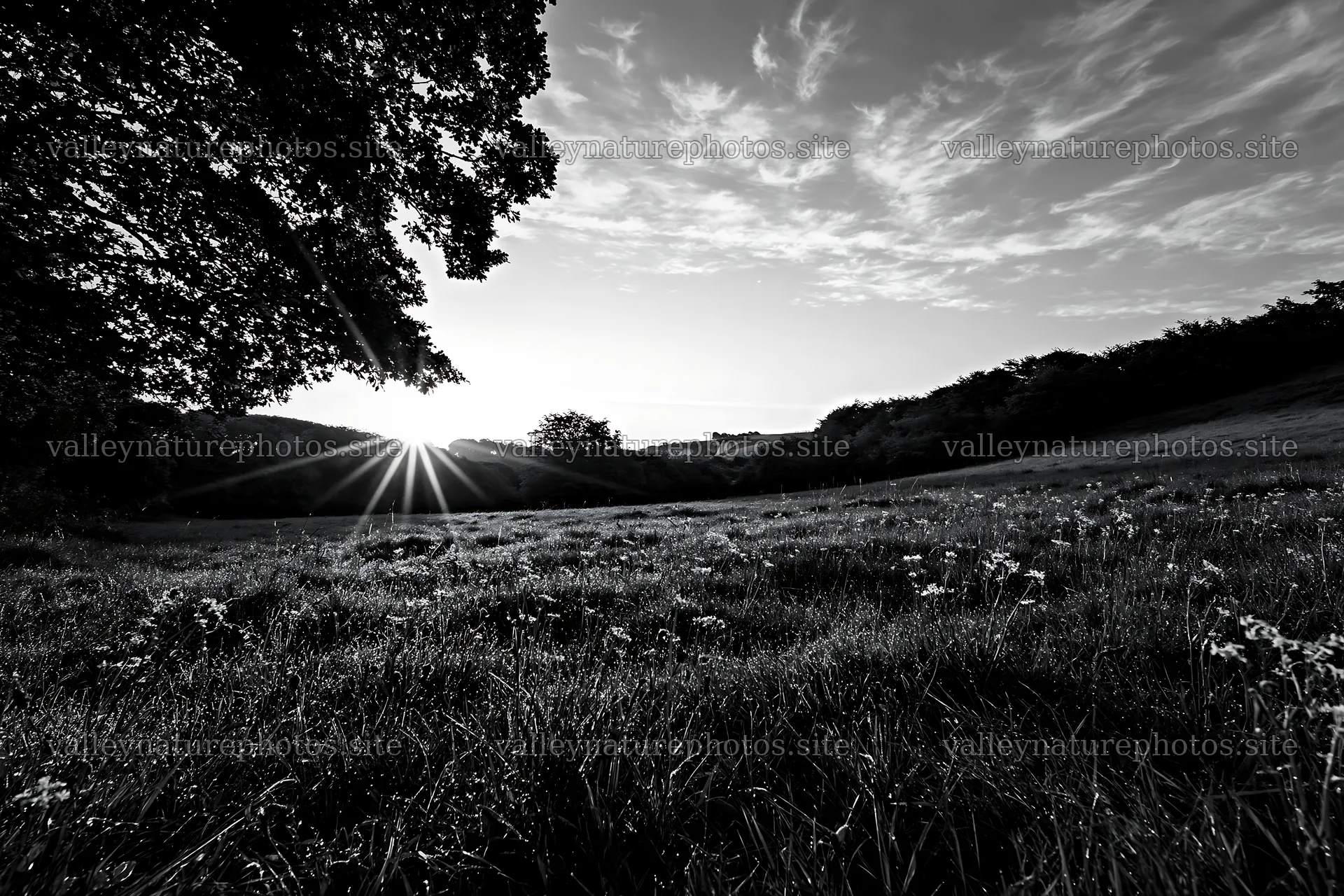 Crepuscular rays shine over a meadow at sunset – nature photography 9722x6480