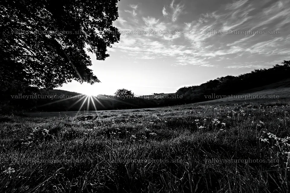 Crepuscular rays shine over a meadow at sunset – nature photography 9722x6480