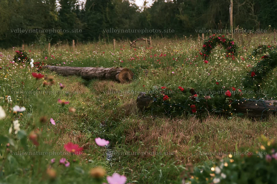 Expansive Christmas meadow with wreaths and tree logs – nature photography 9722x6480