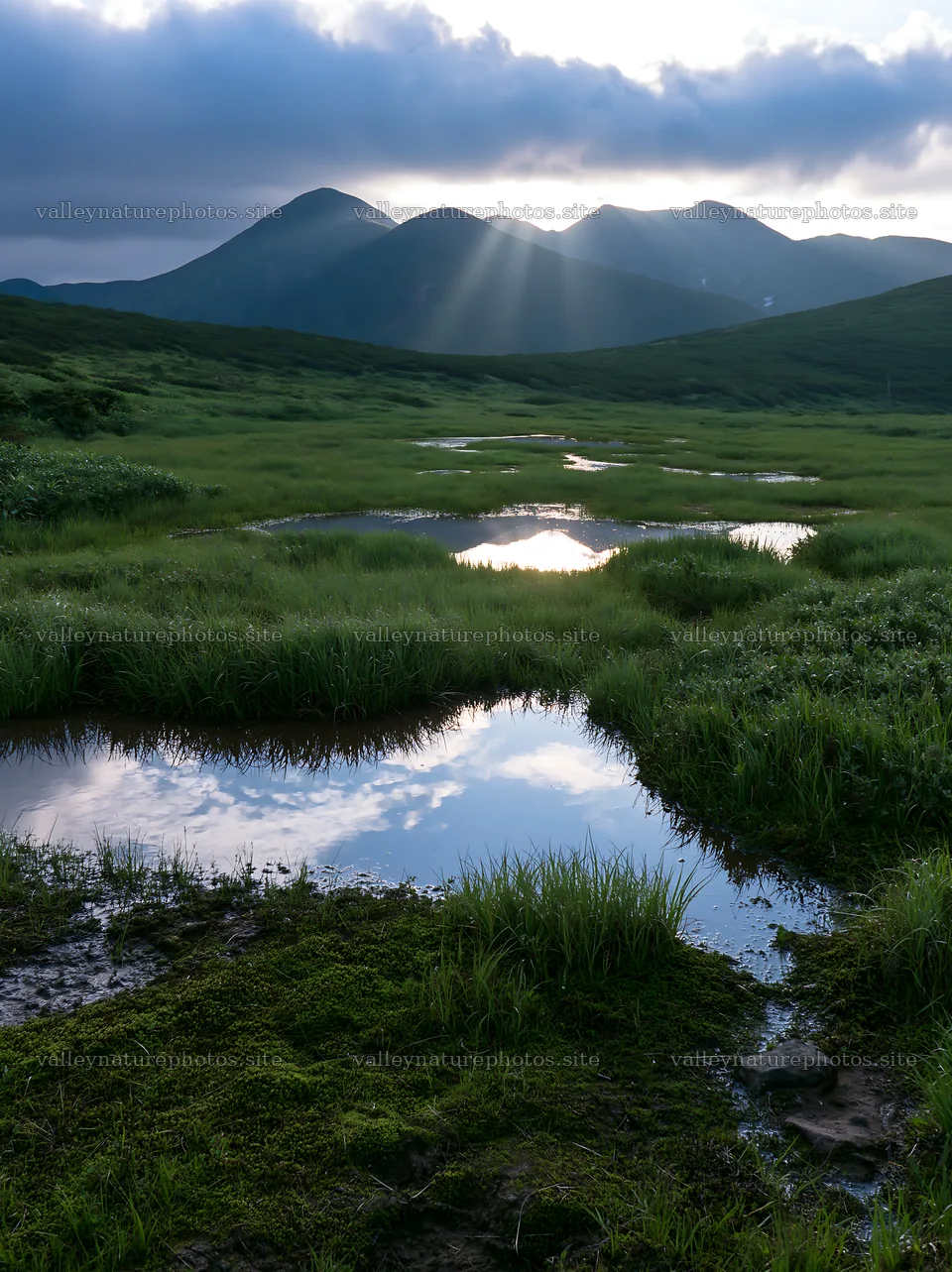 Light rays over Daisetsuzan alpine meadow and reflections in water – nature photography 6866x9174