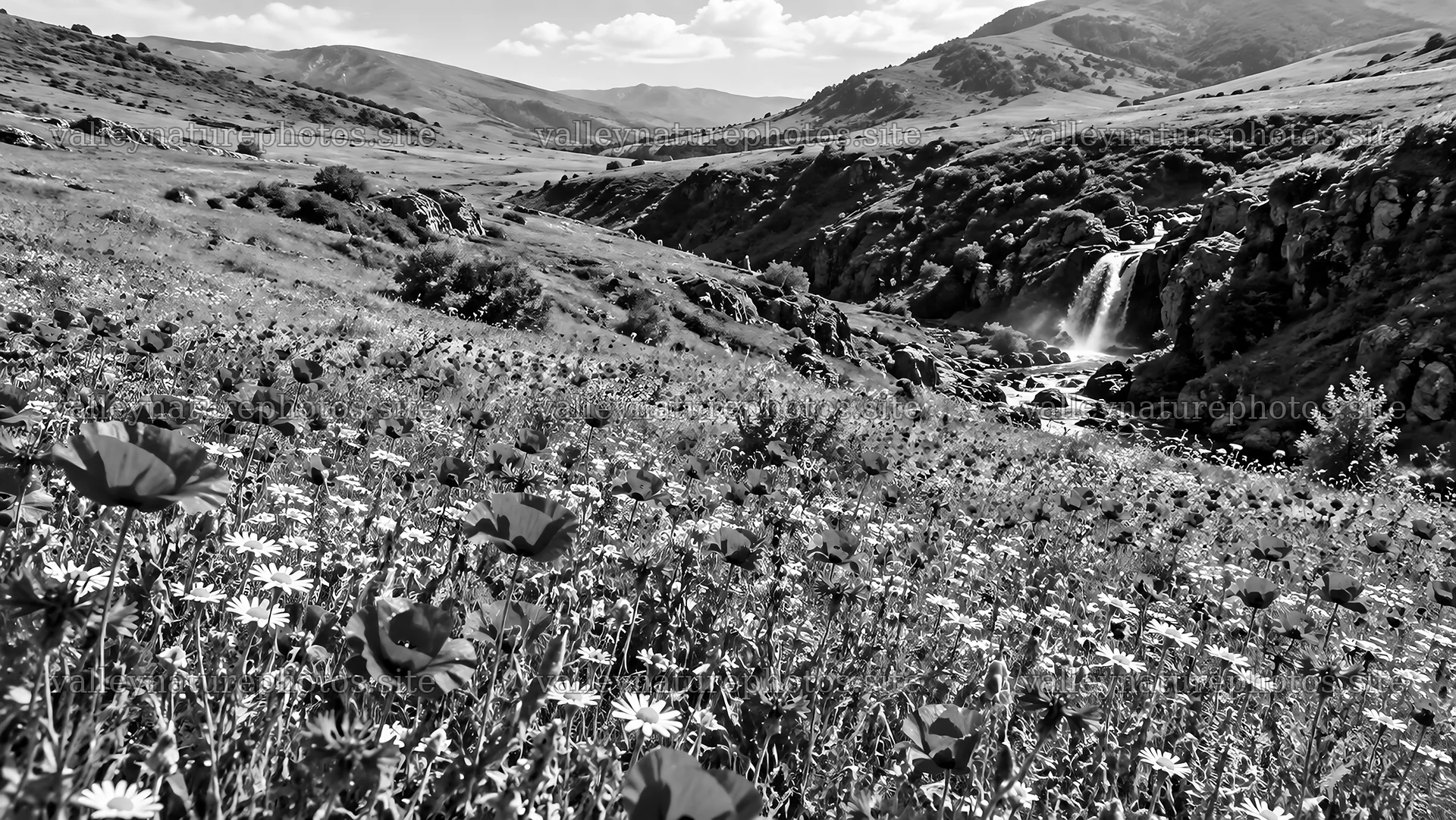 Black and White Hillside Meadow and Waterfall – nature photography 10324x5812