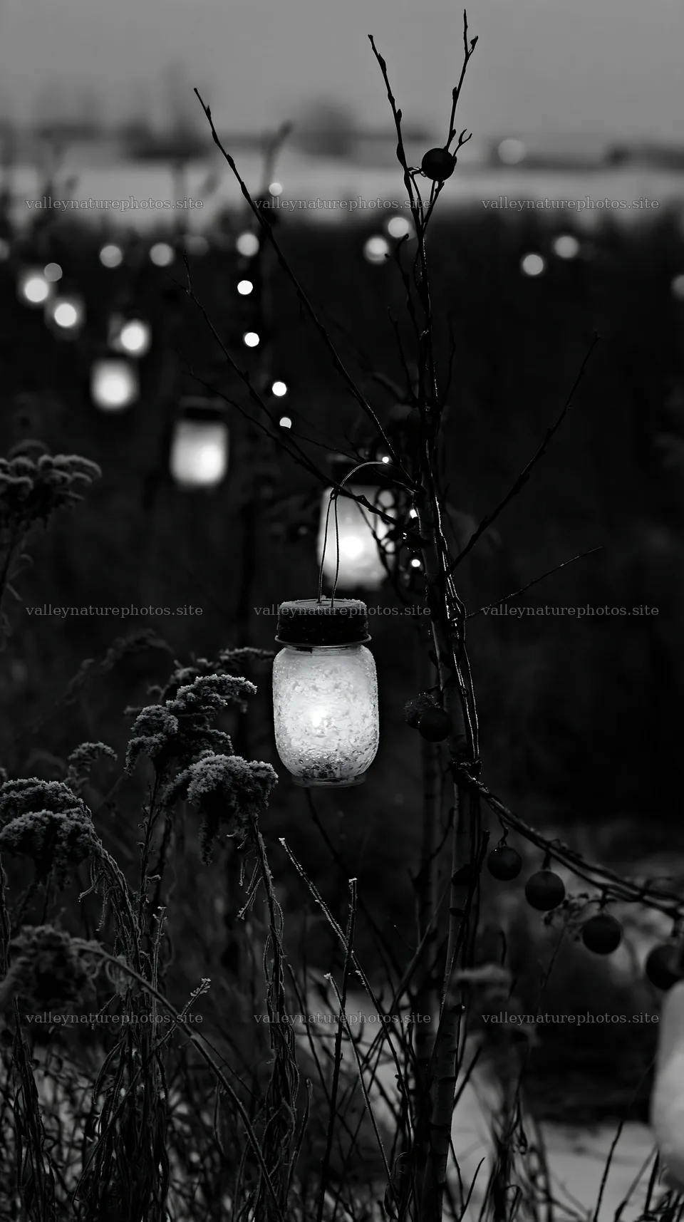 Frosty meadow with lanterns in winter landscape – nature photography 5938x10608