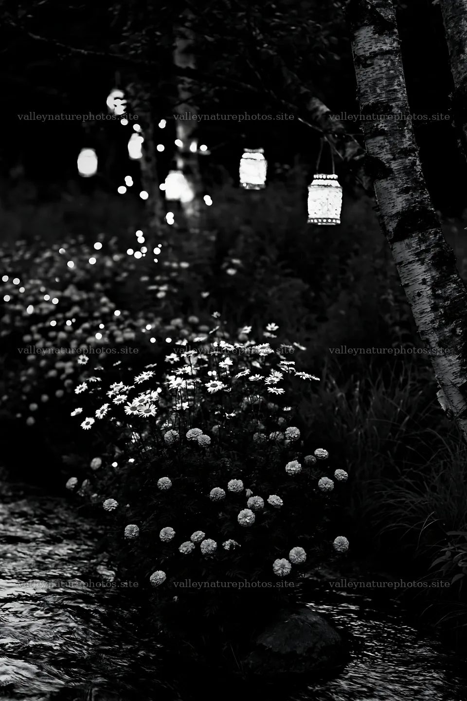 Christmas lights at dusk beside stream in meadow – nature photography 6480x9722