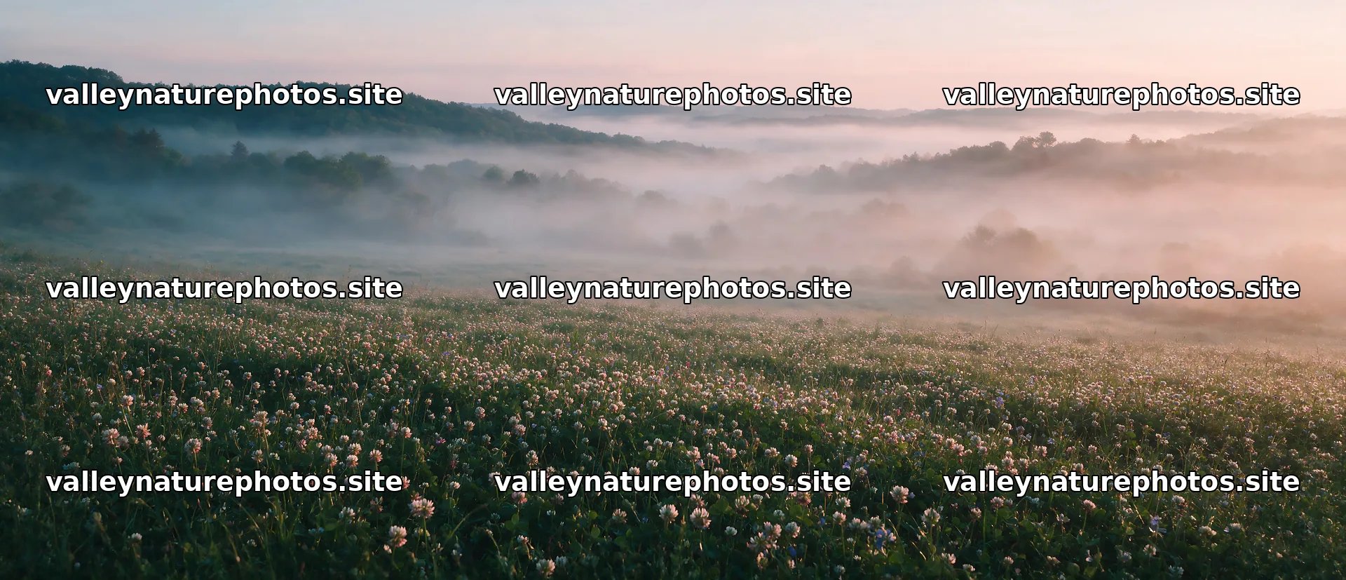 Clover speedwell meadow with foggy hills in the background – nature photography 12094x5210